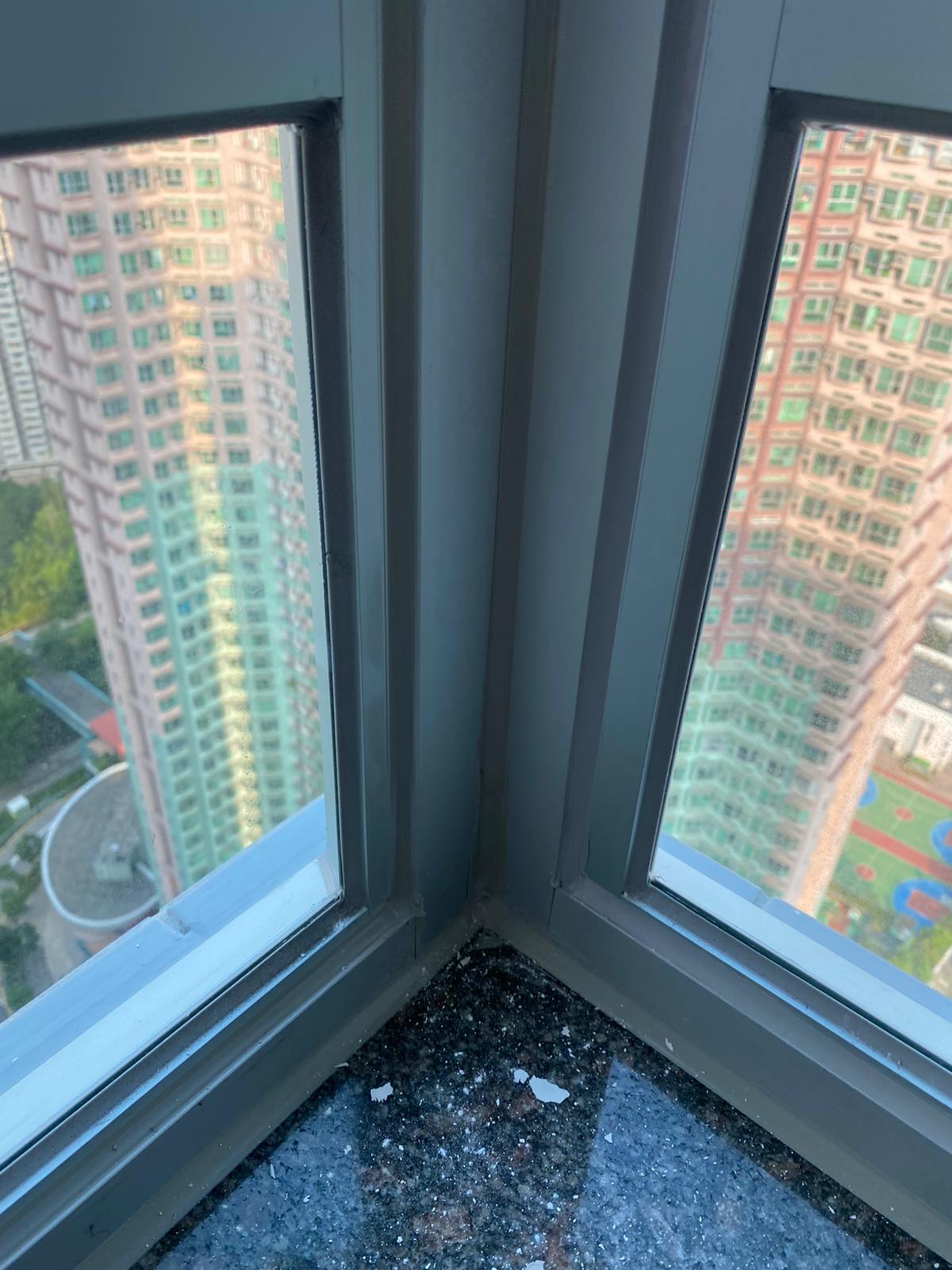 將軍澳新都城 完工相片 7