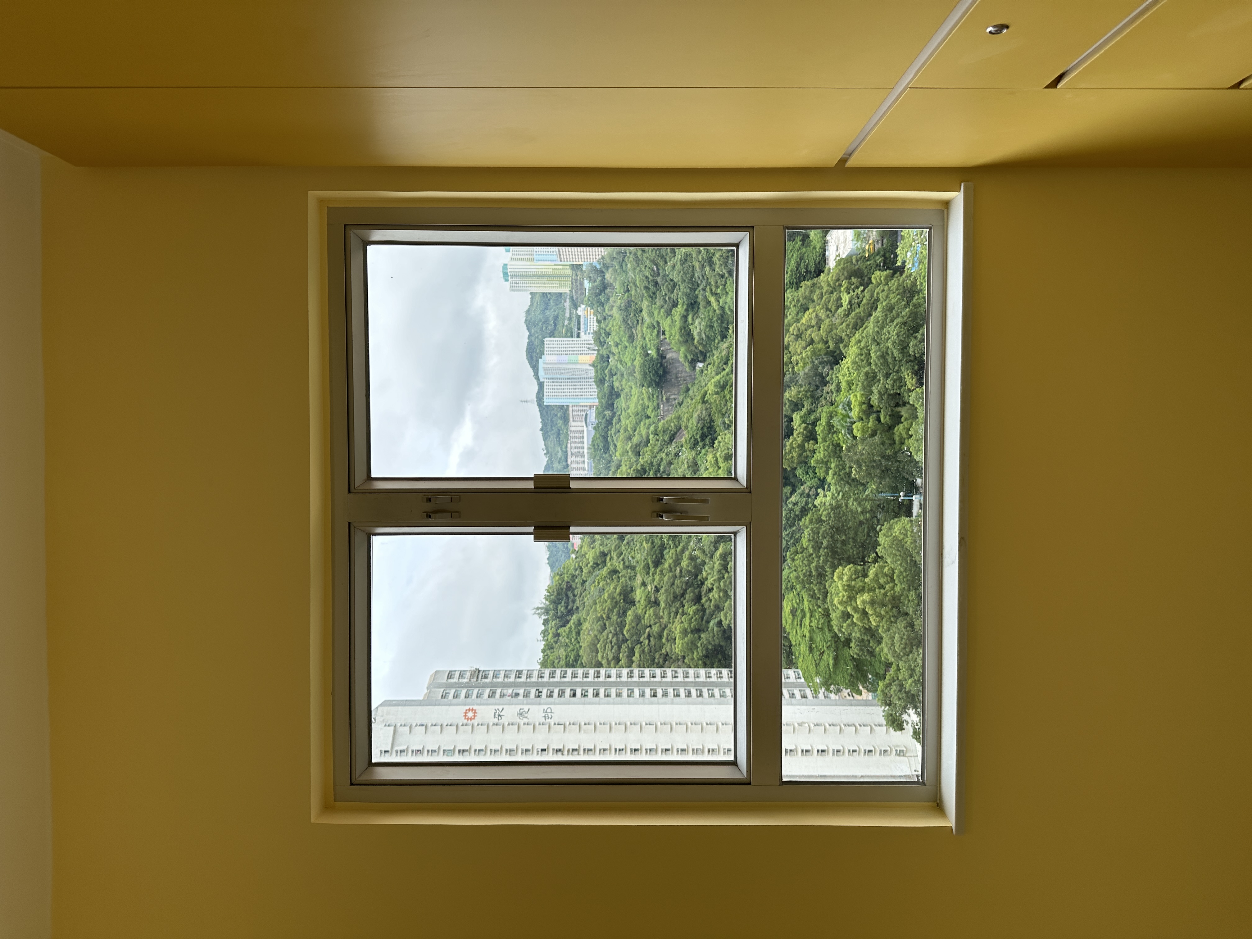 淘大花園 完工相片 3