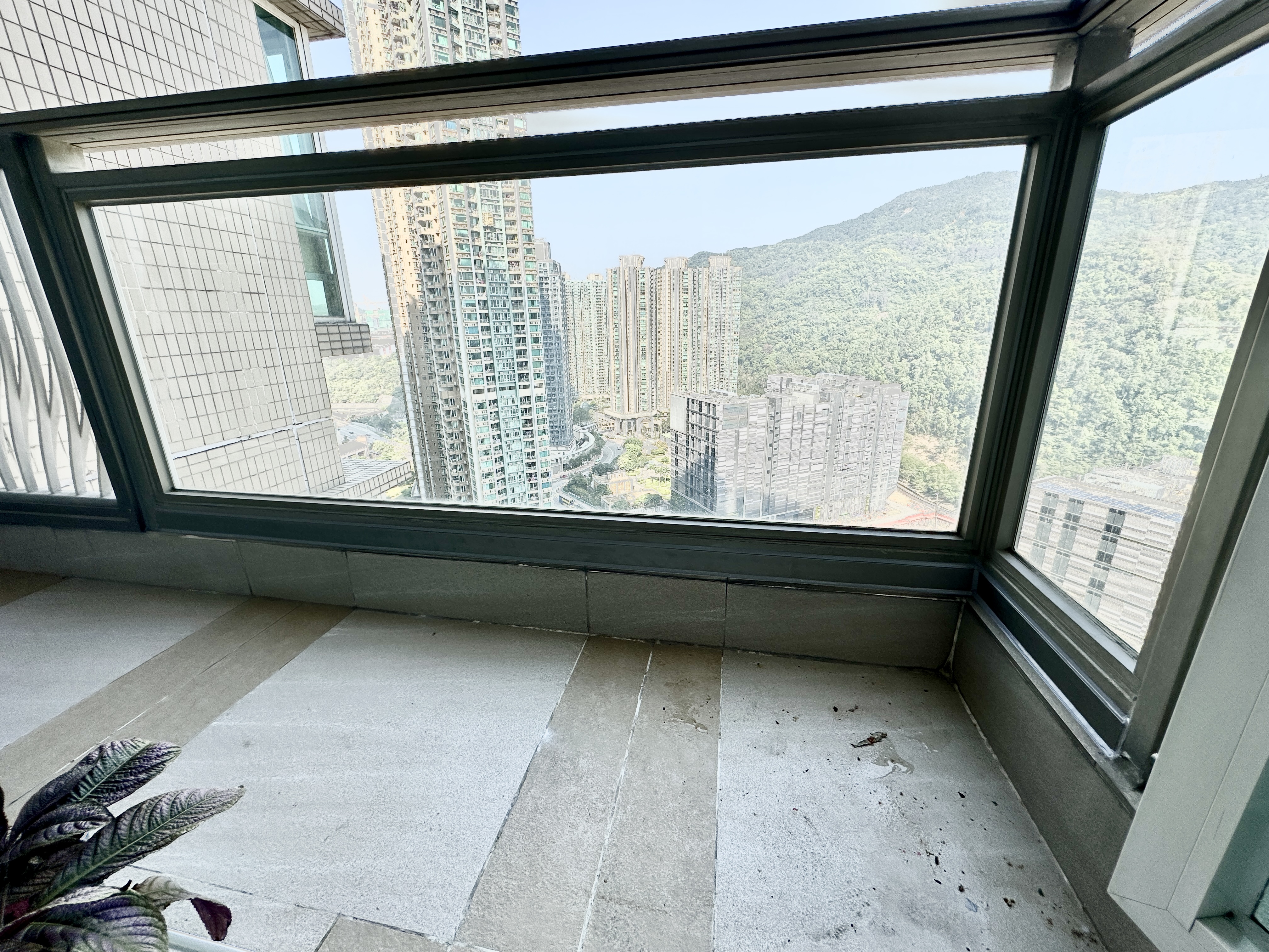 領都 露台加貓網 完工相片 3